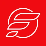 FLEX Connect logo
